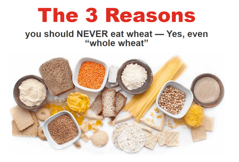 3 Reasons to Never Eat Wheat